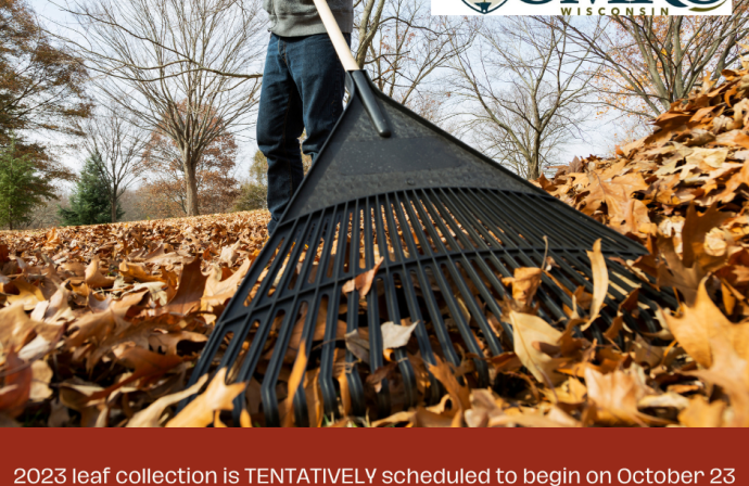 2023 Leaf Collection